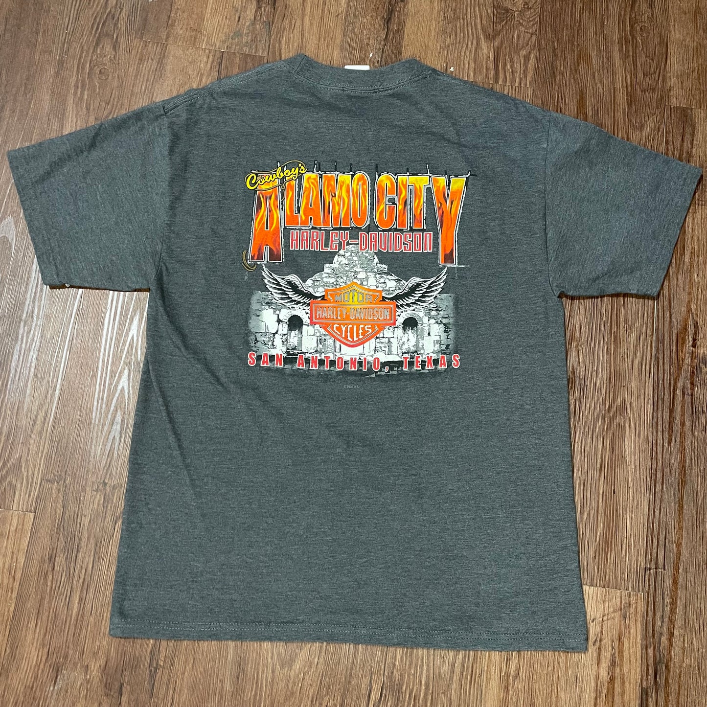 Harley Davidson Texas With Flames